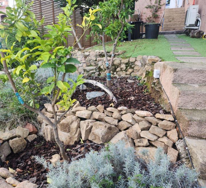 Entretien de jardins Ajaccio