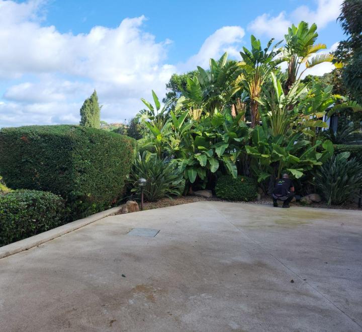 Entretien de jardins Ajaccio