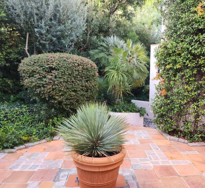 Entretien de jardins Ajaccio