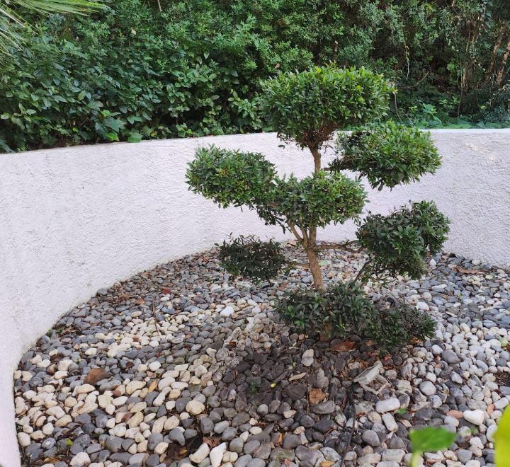 Entretien de jardins Ajaccio